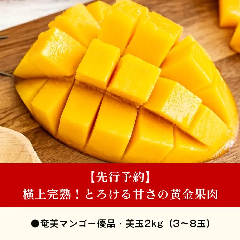 【2026年 観光雑誌付き】奄美産マンゴー 優品・美玉2kg とろける甘さの黄金果肉 樹上完熟 A052-021