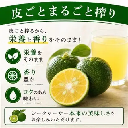 【沖縄県産】皮ごとまるごと搾り 果汁100% シークヮーサー 500ml×2本【1342199】