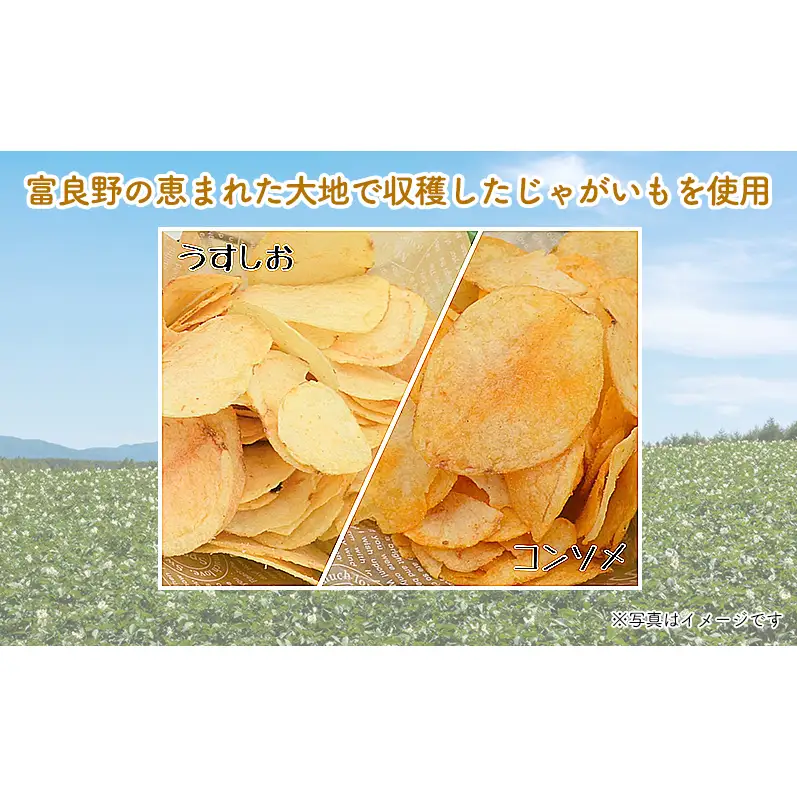 【3ヵ月に1回お届け】ポテトチップス ふらのっち 2種 計24袋 詰め合わせ