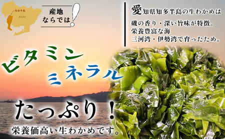 岬だより 調理不要 食感抜群の生わかめ　200g×10袋 [配送不可地域：離島]