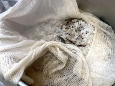 【農家民泊】～かぐや姫の里～ 山菜おこわ作り 体験付き ペア宿泊券 九州 熊本 阿蘇 民泊 農泊 旅行 トラベル チケット ペア 宿泊券 旅行券 観光 南小国町観光協会 南小国町