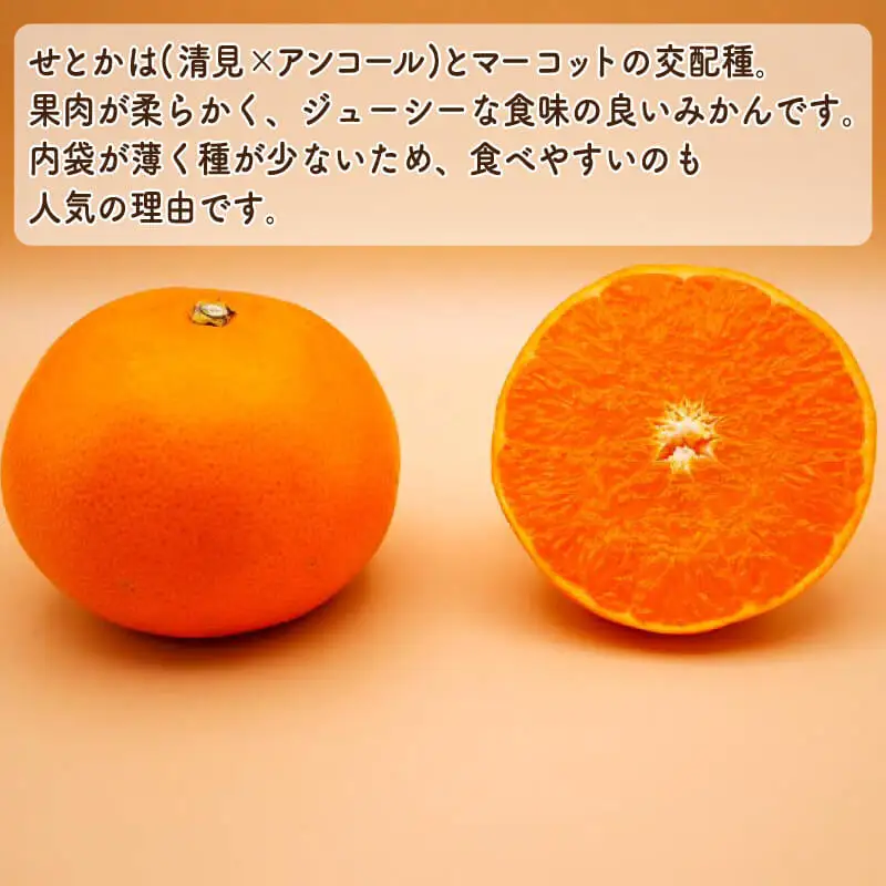 【先行予約】訳あり せとか 3kg みかん 柑橘 オレンジ フルーツ 愛媛 愛南 吉田農園