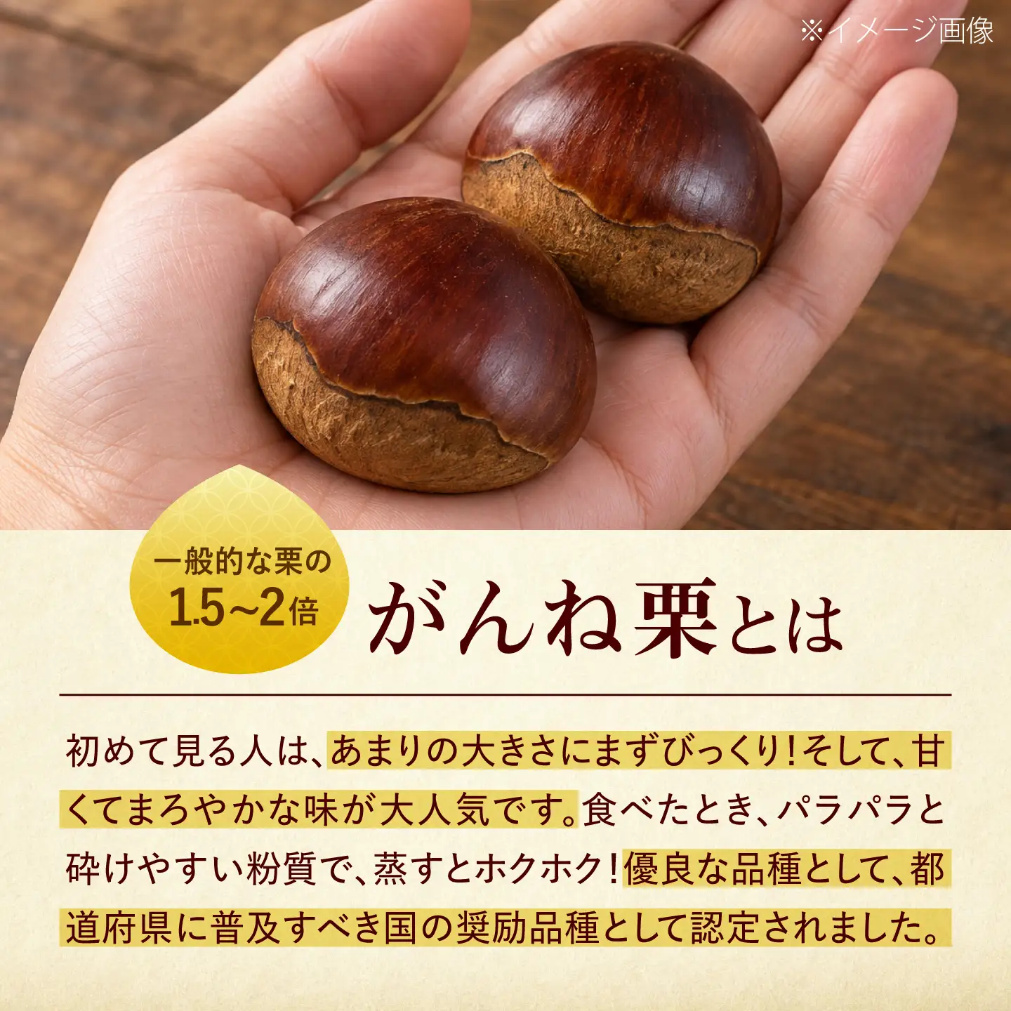 岸根栗 がんねぐり 約2kg BUCF004 栗