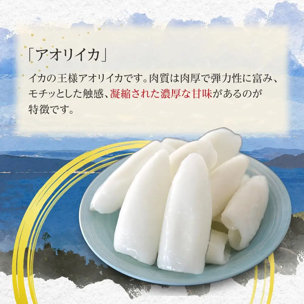 アオリイカ 約1kg 下処理済 冷凍 小分け イカ