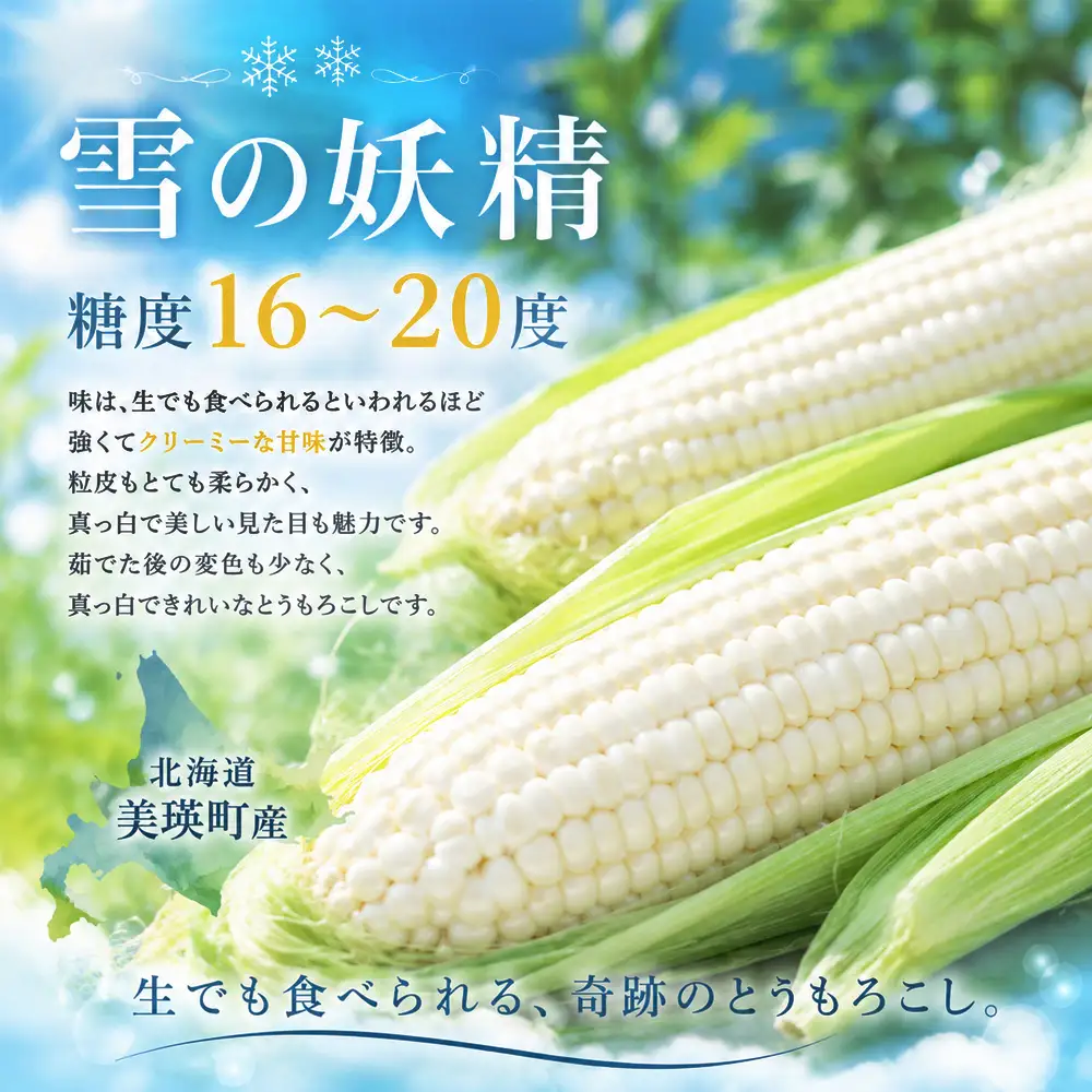 【令和9年産 先行予約】とうもろこし 雪の妖精 ほしつぶコーン 各6本 計12本 とうもろこし 北海道 スイートコーン