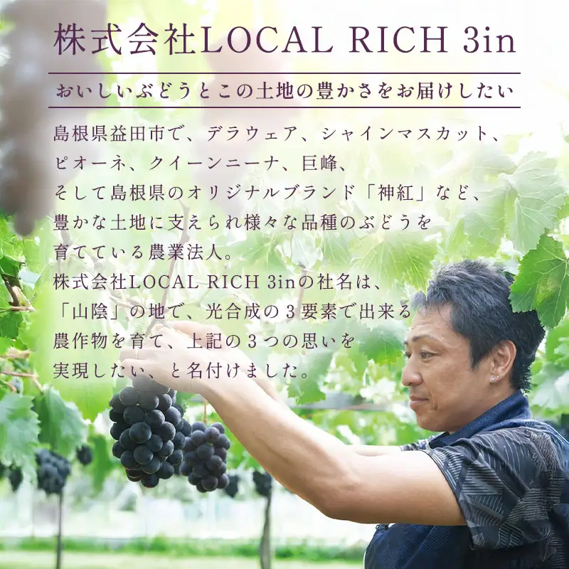 D-857 しんく！シンク！神紅！ 2房入り1.2㎏以上