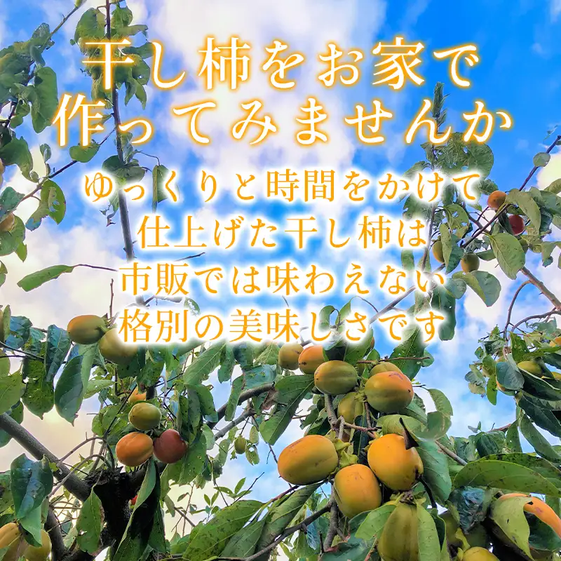 A-863 干し柿用西条柿(渋柿) 20個