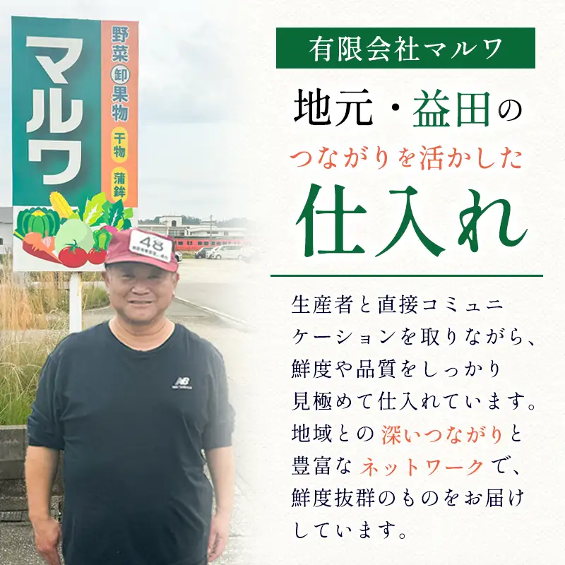 B-1000 朝採れ種なしぶどうピオーネ 2kg