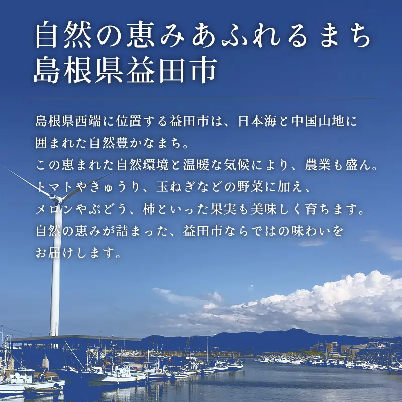 A-701 赤肉アールスメロン 2玉