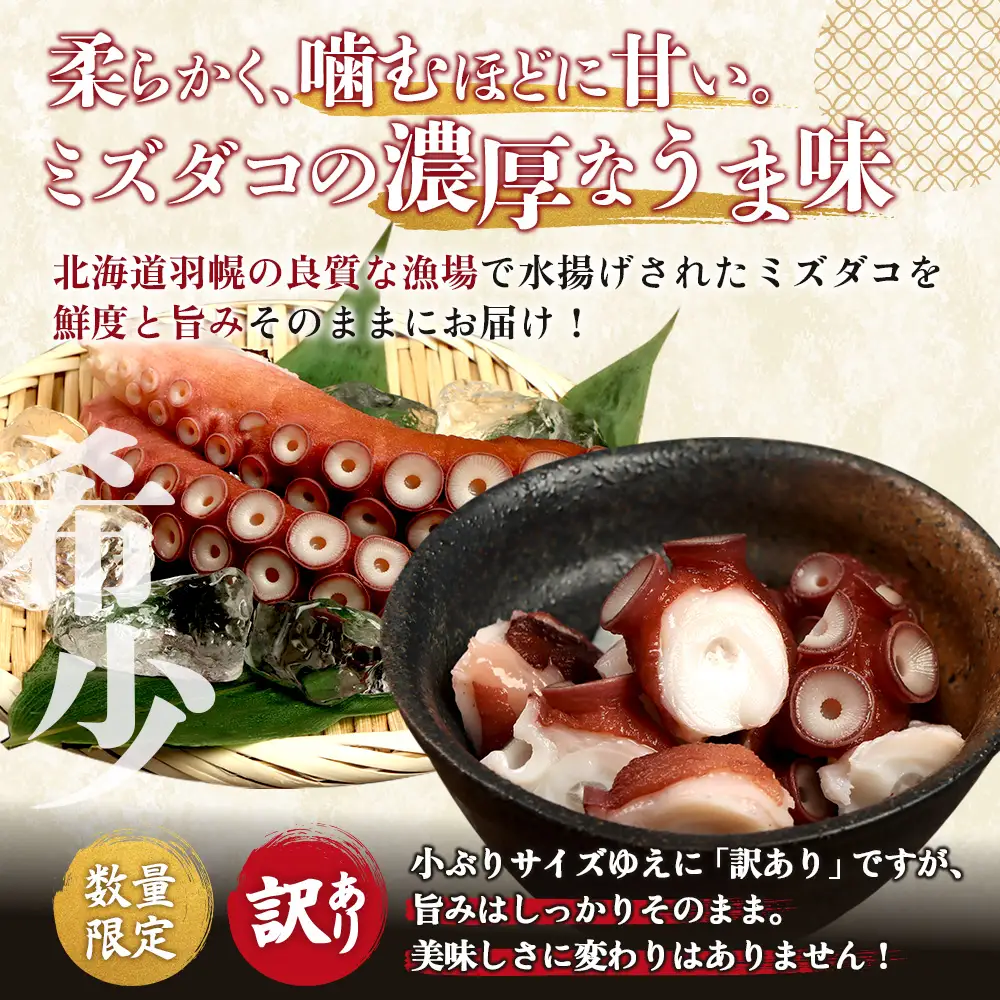 【訳あり】北海道羽幌産 刺身用たこ足小さめ （450～550g）【冷凍】【06114】