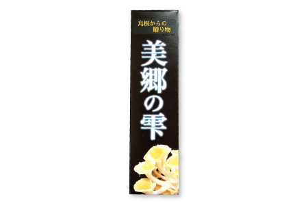 頭皮用エッセンス　美郷の雫（みさとのしずく）1本（100ml）
