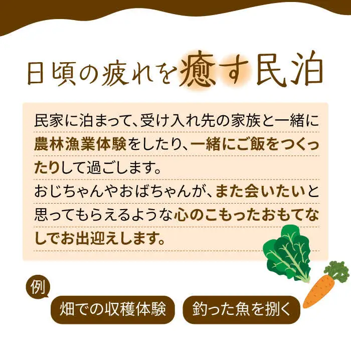 民泊体験 1泊2日 3食付 (大人1名) / 宿泊券 農業 漁業 体験 民泊 / 南島原市 / ひまわり観光協会 [SEH001]