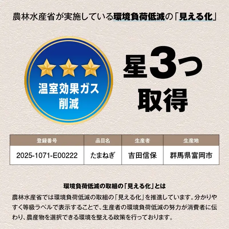 形や大きさより味にこだわった玉ねぎ (10kg) 有機肥料 たまねぎ 玉ねぎ オニオン 甘七宝甘70 ソニック 野菜 食品 F20E-936