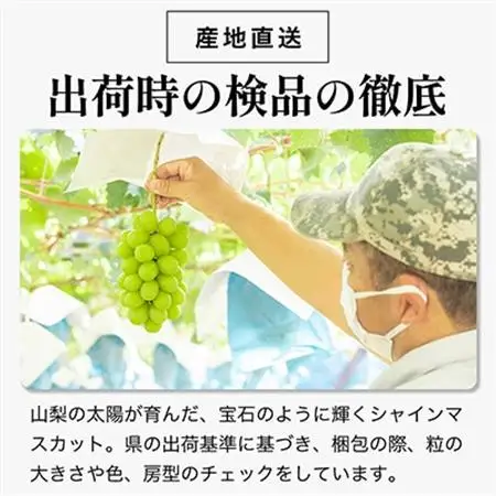 【2026年発送 】シャインマスカット 2房 (約1kg) 山梨県産フルーツ 人気のぶどう【配送不可地域：離島・沖縄県】【1017347】