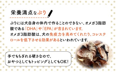 ぶり ジャーキー 30g×3袋 糸島市 / 株式会社コバヤシ【coco.kina】 [ASL010]
