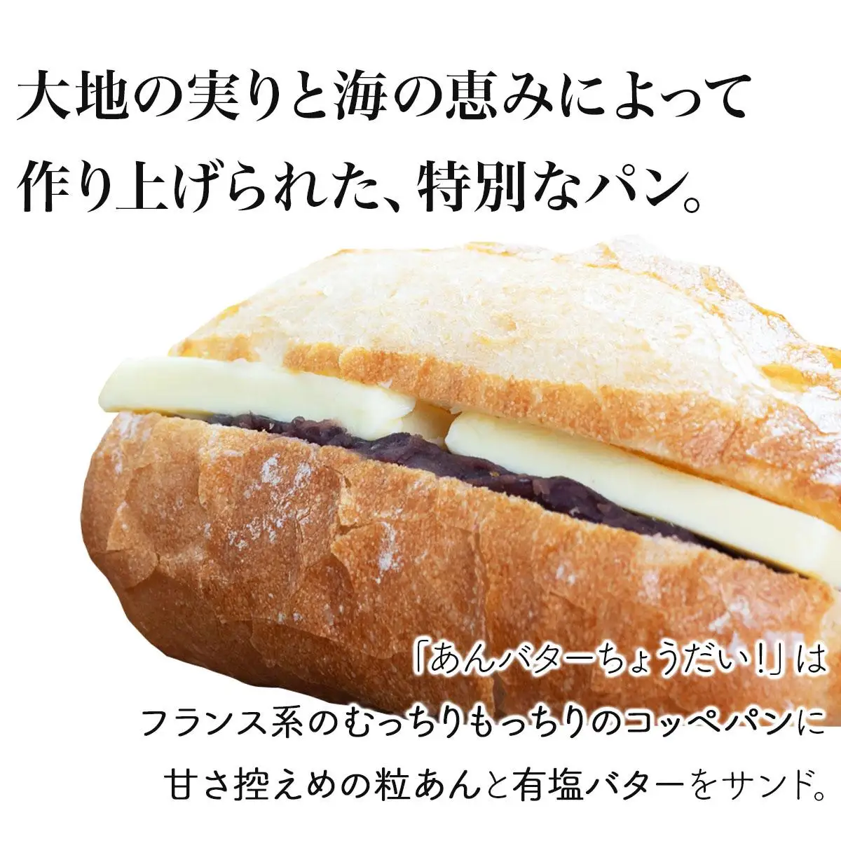 あんバター＆あずきちょうだいセット   F21H-537