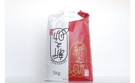 【6カ月定期便】新潟米新之助（精米）5kg お米 コメ 