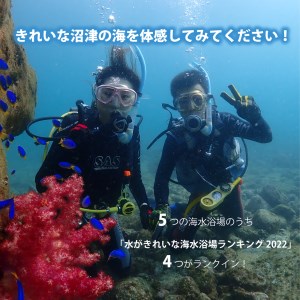 ファンダイビング チケット 大人1名1日 2ビーチ  伊豆半島 スキューバ ダイビング