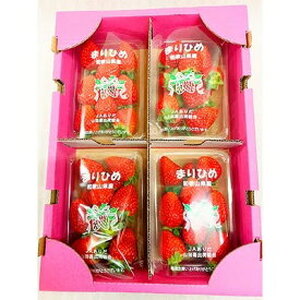 【2027年先行予約】 紀州和歌山ブランド いちご まりひめ 250g×4P_G7346