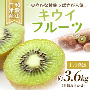【全3回】フルーツ定期便 季節の美味しさ詰合せ！/フルーツ 果物 カラマンダリン 不知火 キウイ 柑橘 旬 定期便【tkb151】