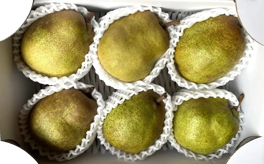 西洋梨（ラ・フランス）２ｋｇ　ご家庭用　0065-2605