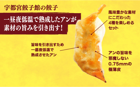 【宇都宮餃子館】　餃子32個入り×2箱【配送不可地域：離島】