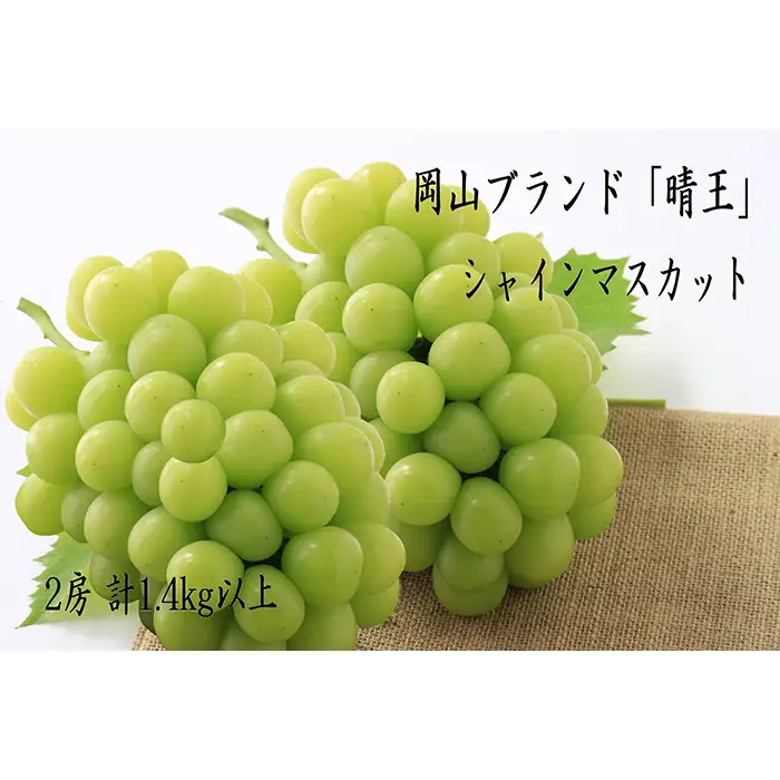 74-17 「晴王」2房（1.4kg以上）【2026年9月上旬～10月上旬発送予定】