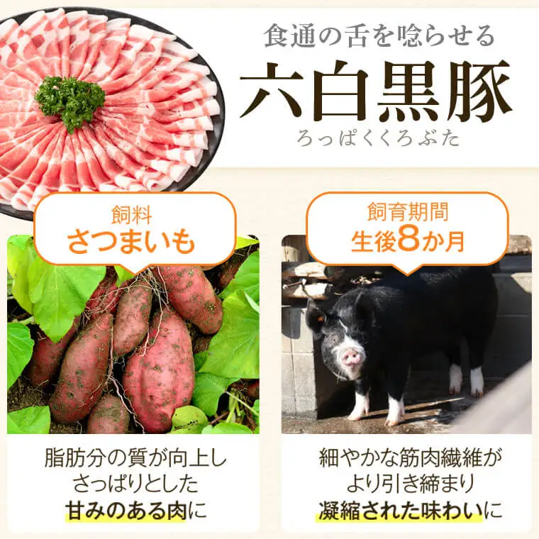 特選黒豚しゃぶしゃぶセット(合計2.4kg) 黒豚餃子(12個×3P) 鹿児島 国産【和田養豚】C02047