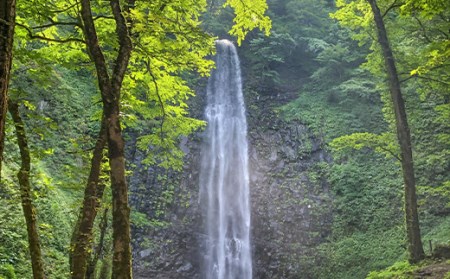 【定期便 6回】【水の郷百選】山形県 鳥海山 氷河水（ひょうがすい） 2L×12 本×6回 天然水 ミネラルウォーター F2Y-6311