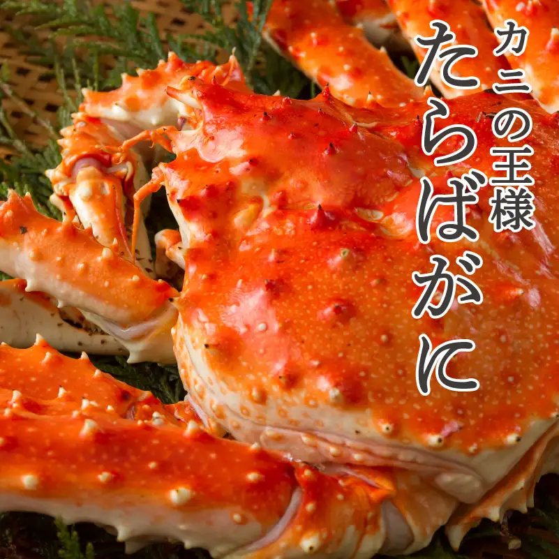 【予約：2026年12月から順次発送】オホーツク産 たらばがに 姿 1.8kg～2.0kg 冷凍 ( たらば タラバ カニ かに 蟹 魚介類 海鮮 北海道 旨味 一尾 )【114-0090】