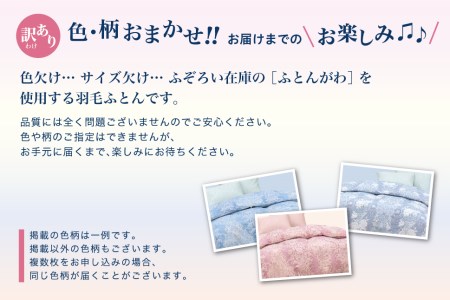  【訳あり】 羽毛布団 シングル 本掛け おまかせ ホワイトダック ダウン85% ダウンパワー350dp 【富士新幸 花巻工房】【1552】