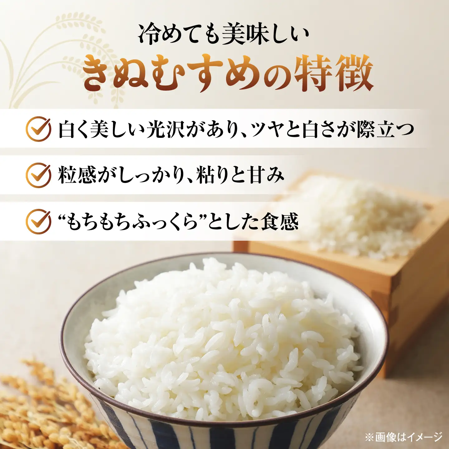 新米 【6回定期便】 島根県産きぬむすめ 5kg 新米[ALBW008]