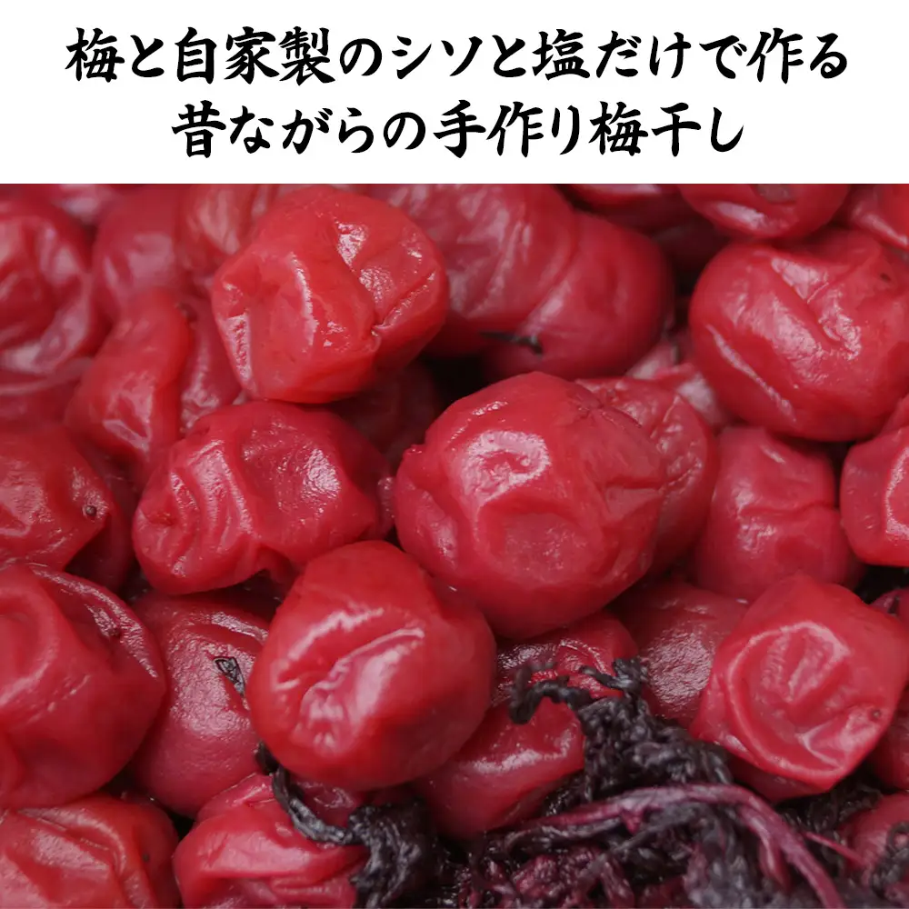 耶馬溪昔ながらの手づくり梅干し 中村梅園 | 梅 梅干し 自家製シソ 手作り こだわり ウメ 大分県 中津市