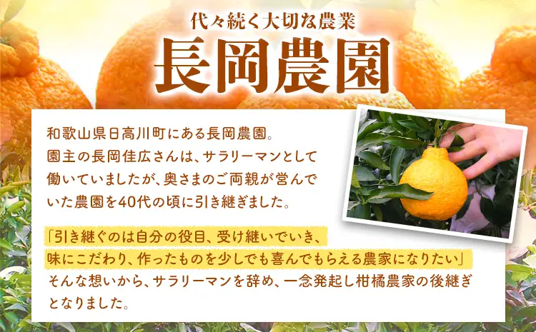紅八朔 約10kg はっさく