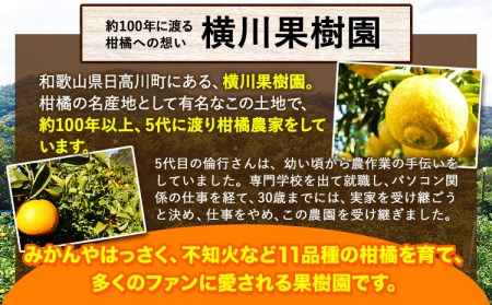 【ふるさと納税】【先行受付】樹上完熟 紅はっさく 約10kg S～2L 家庭用 サイズ混合