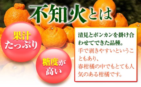 完熟 不知火 ( デコポン )と同品種 約10kg S～2L 家庭用 サイズ混合 横川果樹園 