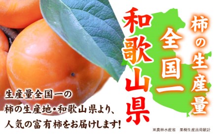 ご家庭用 九度山の富有柿 約7.5kg 柿