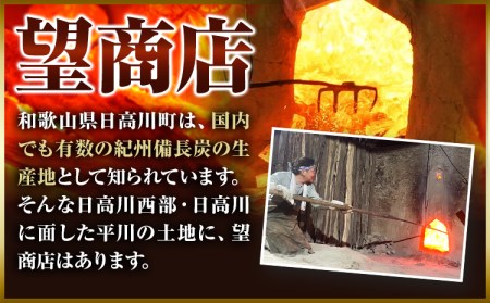 紀州 備長炭 訳あり 約4kg (30日以内に出荷予定)