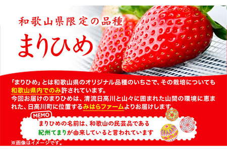いちご 毬姫様 イチゴ まりひめさま 約450g みはらファーム
