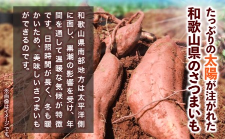 和歌山県のサツマイモ 小さめ サイズ 5kg みはらファーム さつまいも