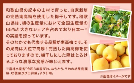 紀州南高梅 しそ仕込み完熟梅干し 無選別 1kg 梅