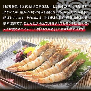 猛者海老 15匹×3パックセット【山根商店】