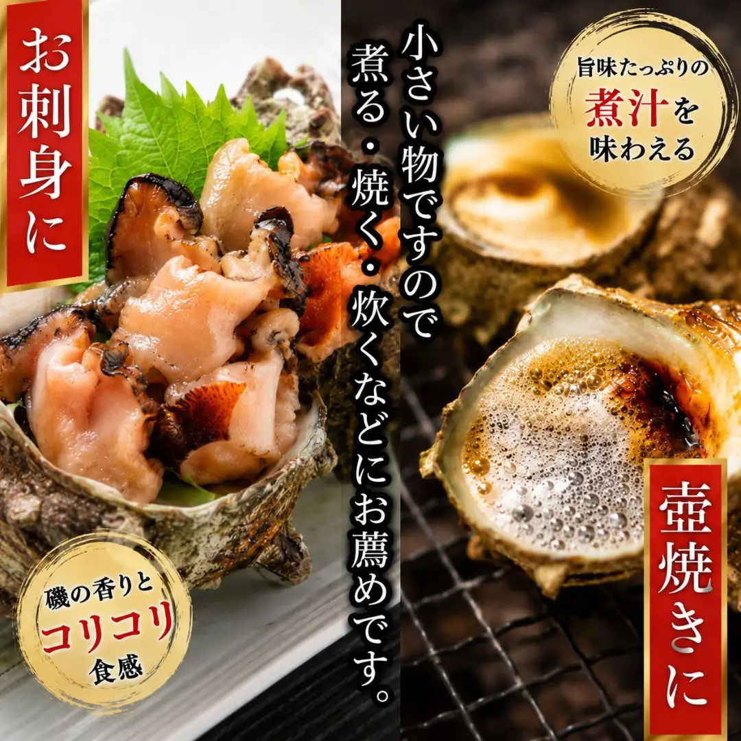 佐渡産 天然活サザエ 2kg 20個前後 サザエ