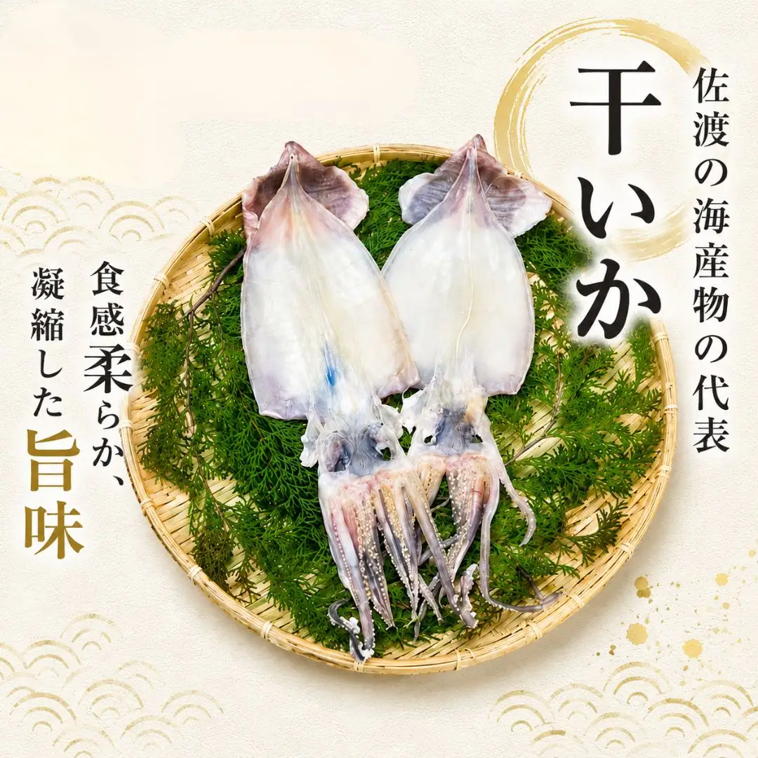 干物イカ 佐渡産 4枚 ( 1袋2枚 × 2 ) イカ