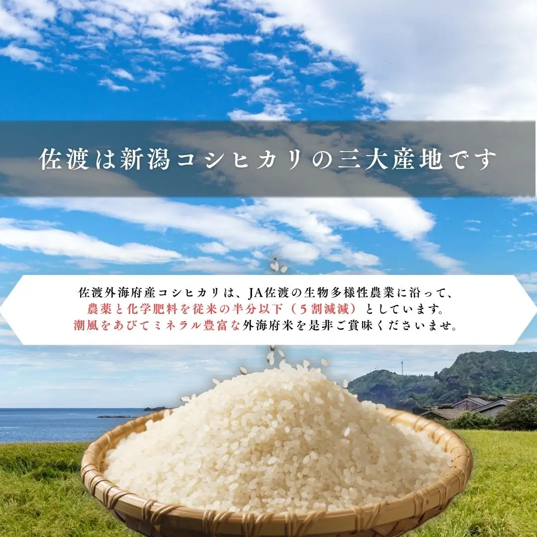 佐渡発酵 佐渡産コシヒカリ精米5kg 【令和7年米】