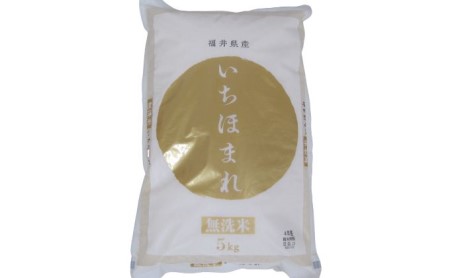 いちほまれ 無洗 5kg 令和7年産 福井の新ブランド いちほまれ
