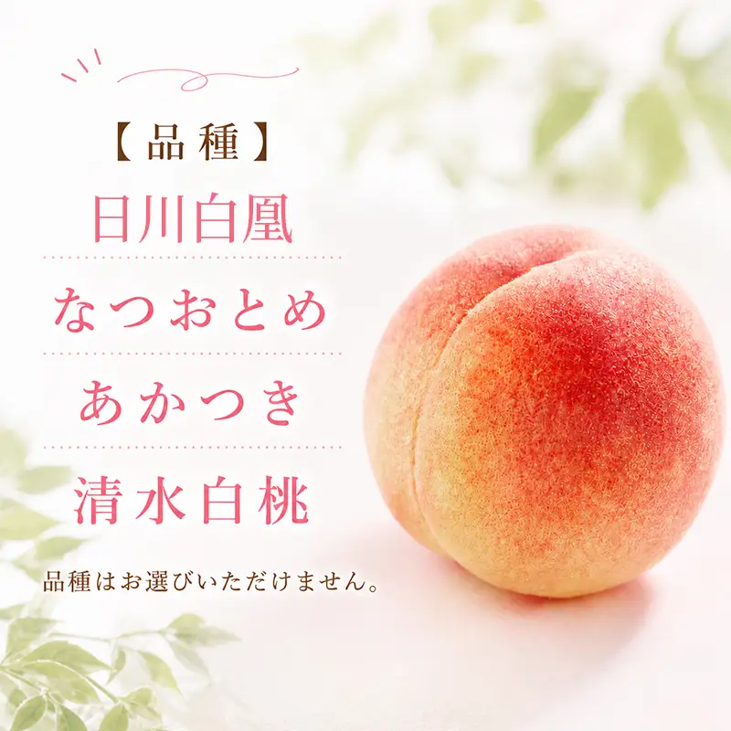 桃 特秀品 約2kg 6～8玉 桃 飯山 丸亀