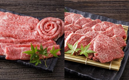 伊万里牛美味プレミアム 定期便  10回便 ヒレ ステーキ 焼肉 すき焼き しゃぶしゃぶ 999-J620