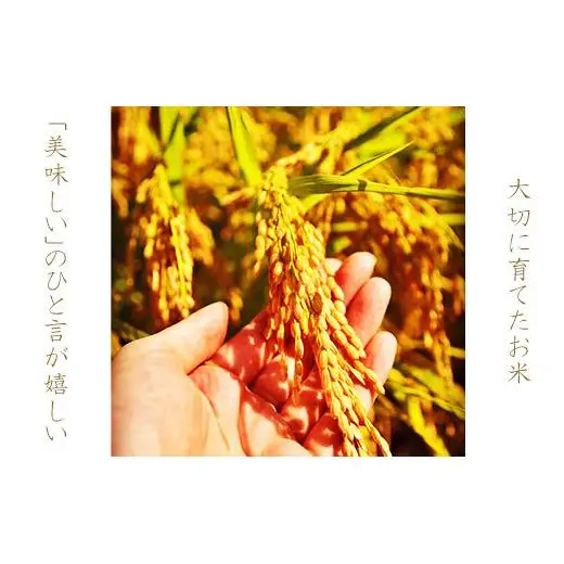 【１２カ月定期便】岐阜県産コシヒカリ 10kg(合計１２０kg) 2025/9/19～