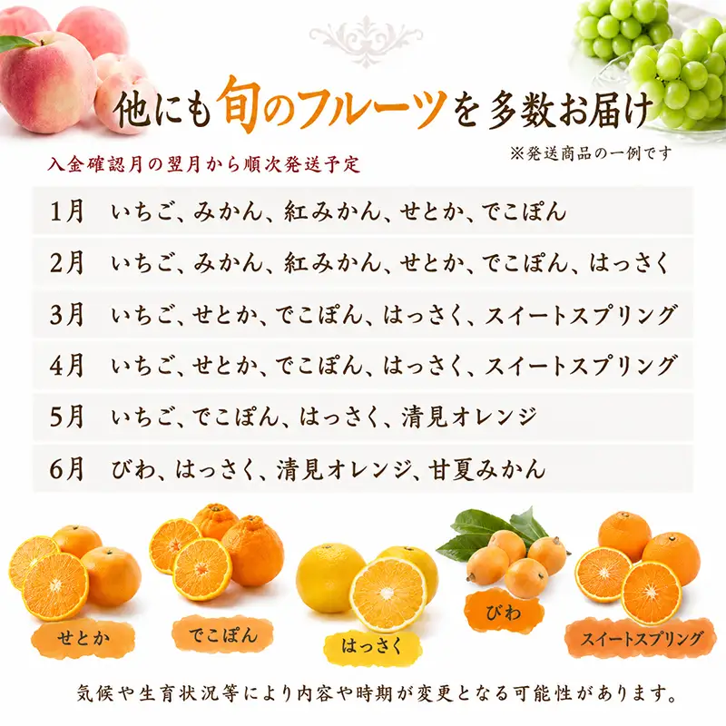 フルーツ定期便 12回 旬のフルーツ 果物 定期便 